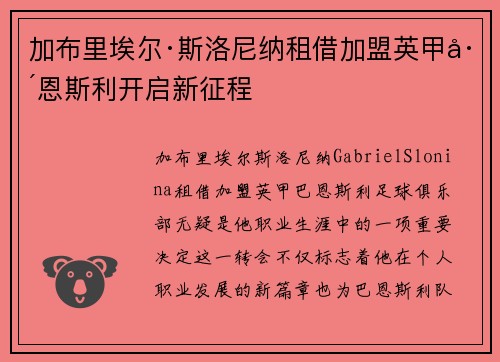 加布里埃尔·斯洛尼纳租借加盟英甲巴恩斯利开启新征程
